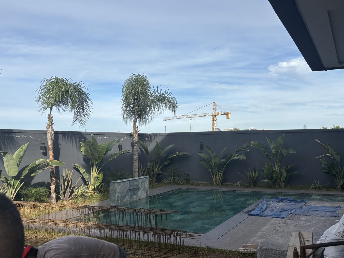 Piscine en phase de finition avec palmiers plantés, mur paysager et grue de chantier en arrière-plan